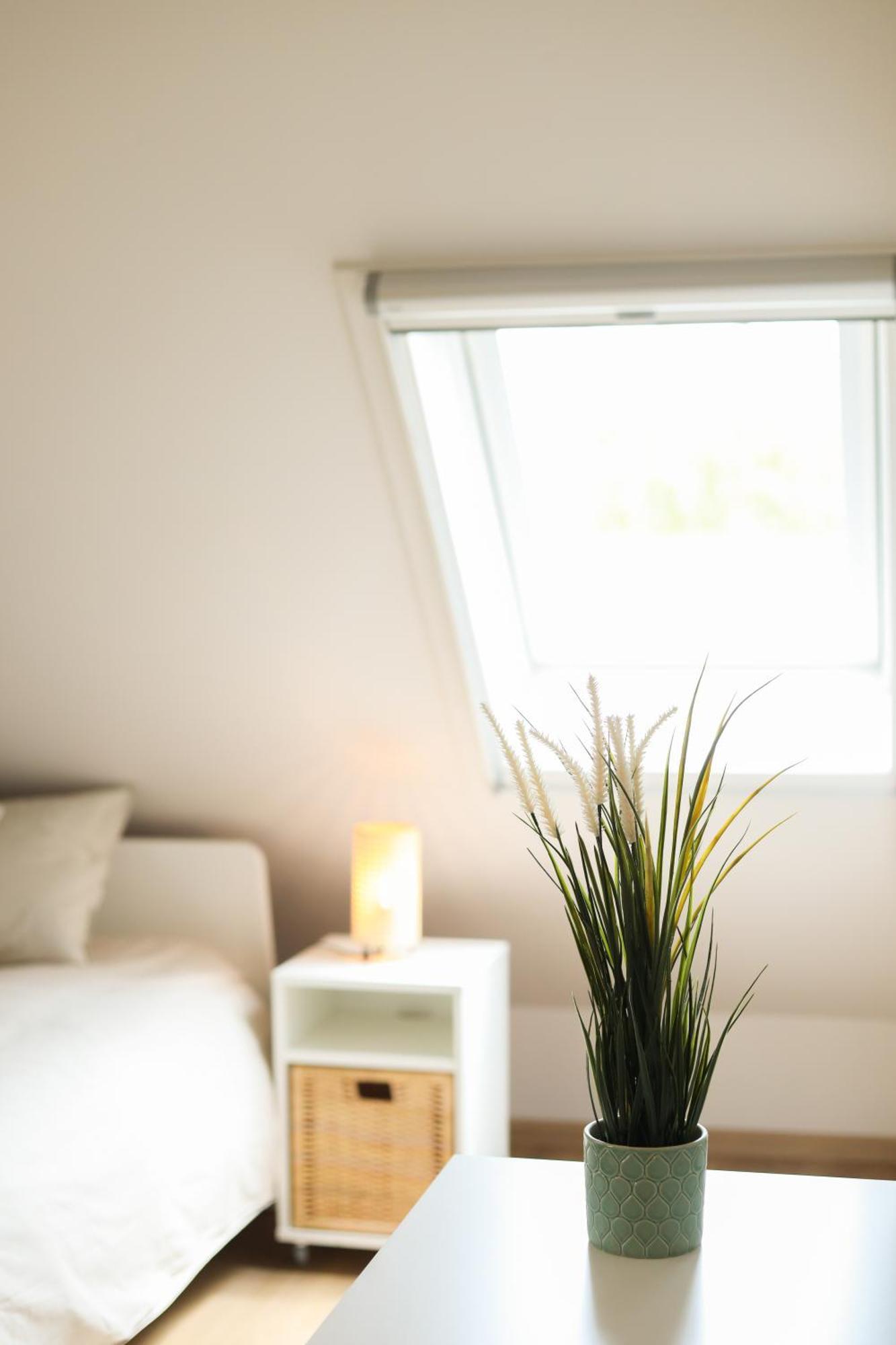 Home2Stay - 7T3 ゾンネベーケ エクステリア 写真
